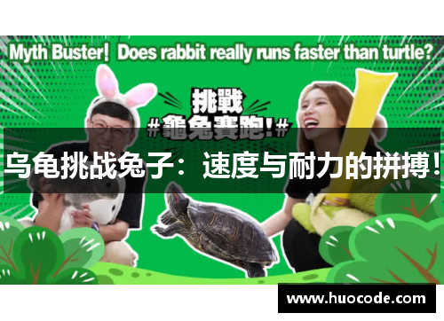乌龟挑战兔子：速度与耐力的拼搏！
